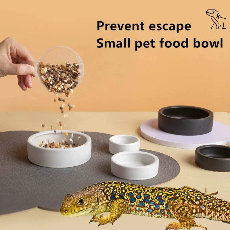 HOT! Reptile Food Bowl Anti-Escape Ceramic Feeder Dish Black White Reptile Water Bowl For Hermit Crab Gecko Chameleon Corn Snake