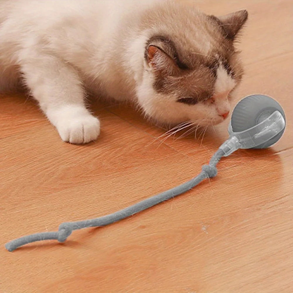 Smart Rolling Ball Toy with Faux Tail