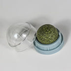 Mint Cat Dental Chew Ball Toy — Teeth Cleaning & Entertainment Lick Toy