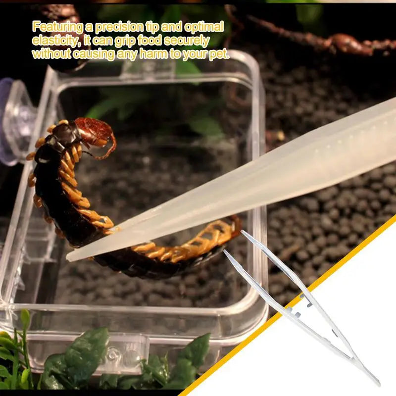 Reptile Tweezers Feeding Long Tweezers Feeder Tools Glow In The Dark Anti-Slip And Ergonomic Long Tweezers Feeding Tweezers For