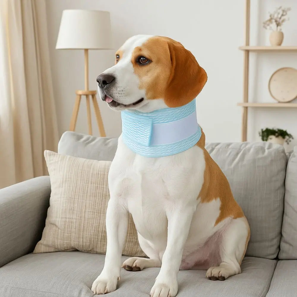Soft Mesh Pet Recovery Collar (Breathable, Elizabethan, Anti-Lick)