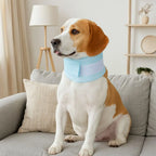 Soft Mesh Pet Recovery Collar (Breathable, Elizabethan, Anti-Lick)
