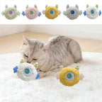 Catnip-Filled Colorful Plush Cat Chew Toy — Bite-Resistant Teeth Grinding Toy for Kittens