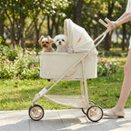 Portable Foldable Pet Stroller 2 in 1 Dog Cat Carrier Multi-function Detachable Bag Lightweight Outdoor Travel Convenience cart