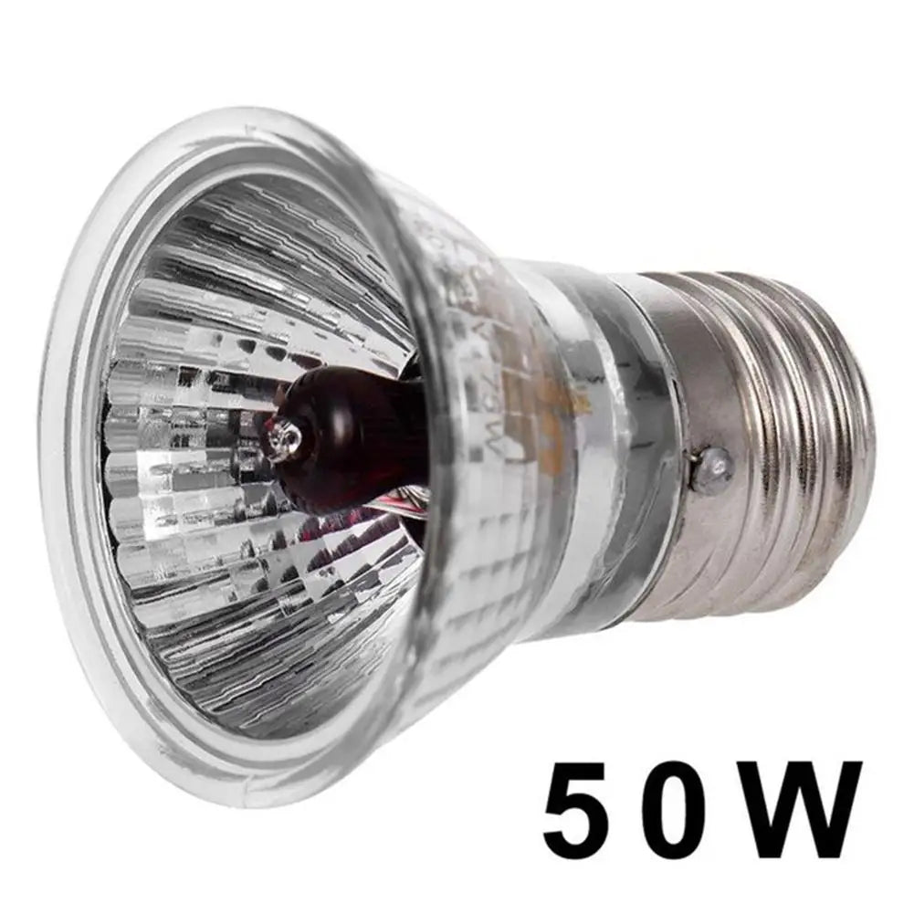 220V 25/50/75W UVA+UVB Reptile Lamp Bulb Turtle Basking UV Light Bulbs Heating Lamp Amphibians Lizards Temperature Controller