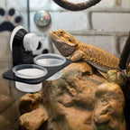 Gecko Feeder Ledge with Detachable Suction Cup Reptile Feeding Dish for Lizard Tortoise Spider Reptile Tank Accessories