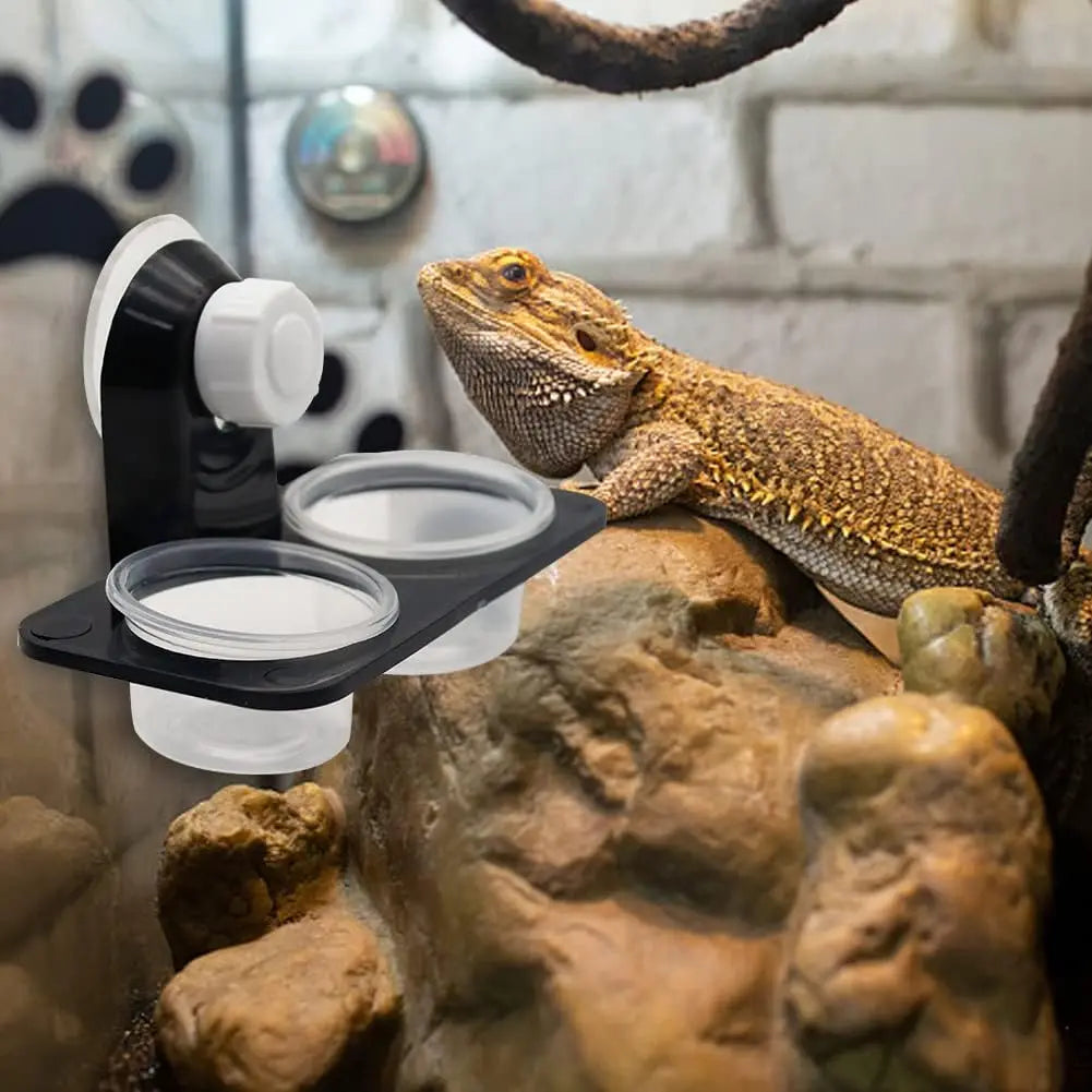 Gecko Feeder Ledge with Detachable Suction Cup Reptile Feeding Dish for Lizard Tortoise Spider Reptile Tank Accessories