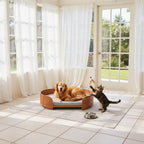 Oval Wooden Pet Sofa Bed with Removable Cover (All-Season)