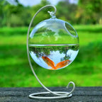 Hanging Glass Fish Bowl Vase (Round & Rectangle, Transparent, Wall-Mounted with Rack Holder)