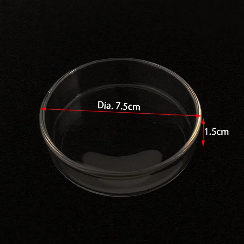 Glass Aquarium Shrimp Feeding Ring & Feeder Dish (Transparent, Floating, Bottom Use)