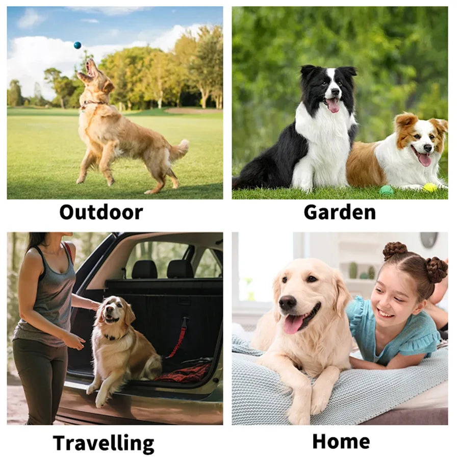Premium Dog Cat Bath Free Cleaning Gloves Deodorizing Disposable Wet Wipes No Water Dry Cleaning Pet Grooming Decontamination Ca