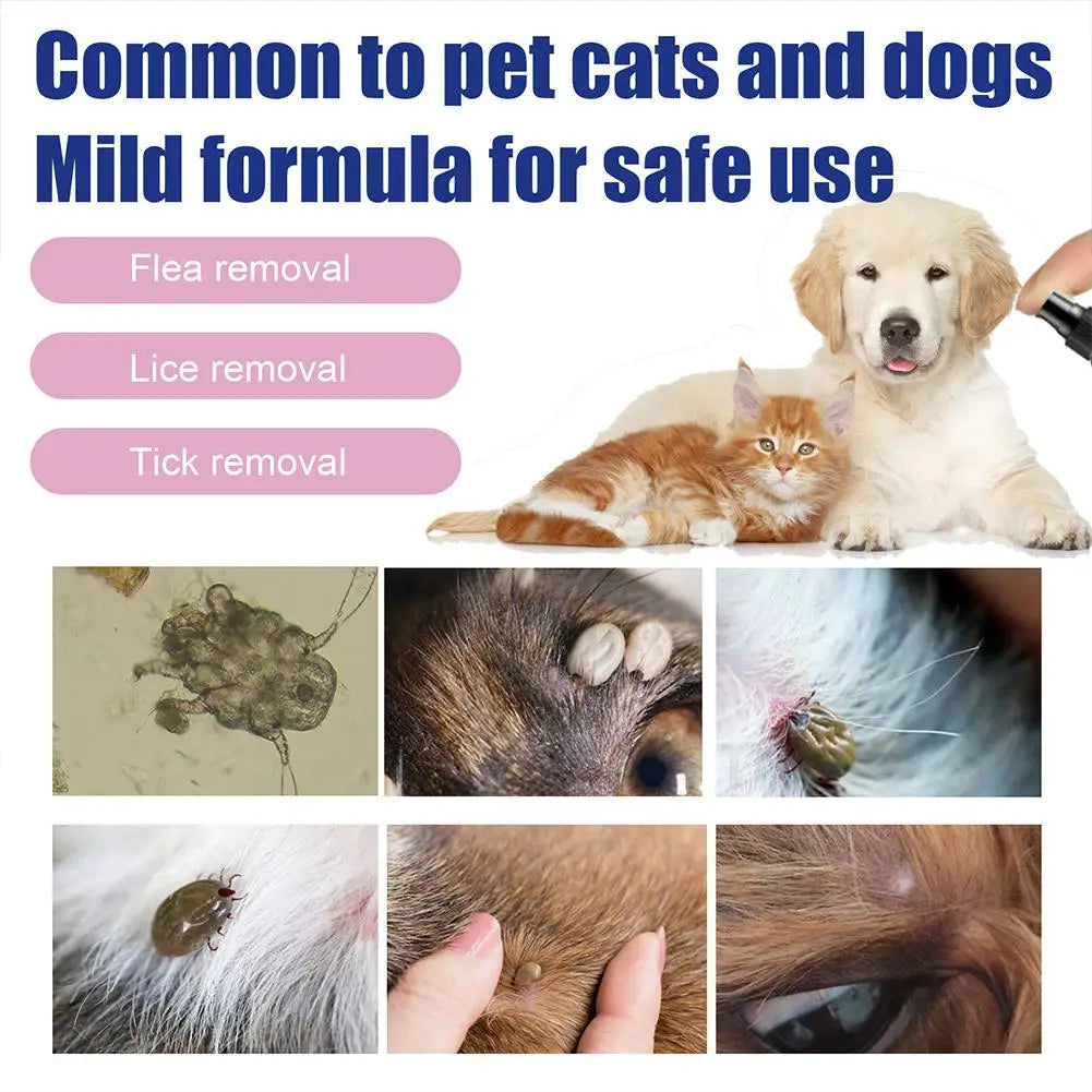 Pet Dog Cat Anti Flea Drops 100ml Insectcide Flea Lice Insect Remover Spray Flea And Tick Concentrate Formula Pet Flea Remover