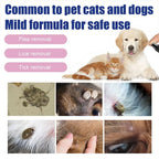 Pet Dog Cat Anti Flea Drops 100ml Insectcide Flea Lice Insect Remover Spray Flea And Tick Concentrate Formula Pet Flea Remover