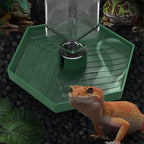 Reptiles Water Feeder Bowl Food Feeder Water Bottle For Reptiles Pet Antislip Automatic Water Dispenser for Lizards 87HA