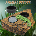 Magnetic Reptile Feeder Ledge Reptile Food Water Dish With 4 Bowl Gecko Lizards Tree Frogs Chameleons Tank Feeder Ledge