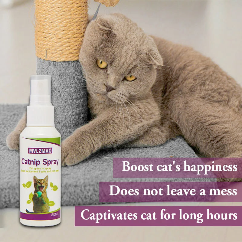 Catnip Behavior Spray for Cats (60ml)