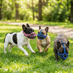 Pet Friendly Short Nose Fit Dog Muzzle Adjustable Breathable Short Snout Muzzle Flexible Lightweight Pug Muzzle Daily Walk