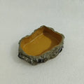 1PC Reptile Water Bowls Terrarium Plate Reptile Feeder Amphibian Feeding Bowl for Frog Chameleon Tortoise Bearded Dragon Turtle