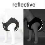 Reflective Escape-Proof Mesh Cat Harness & Leash Set — Adjustable Vest for Cats, Kittens & Small Dogs