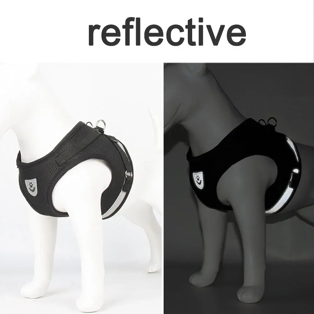 Reflective Escape-Proof Mesh Cat Harness & Leash Set — Adjustable Vest for Cats, Kittens & Small Dogs