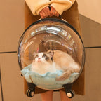 Portable Cat Bag for Going Out Large Capacity Transparent Breathable Pet Trolley Case Cat Travel Bag Pet Supplies Cat nest