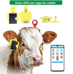 GPSONE Solar-Powered Cow Ear Tag GPS Tracker for Cattle & Livestock - Smart Grazing Management