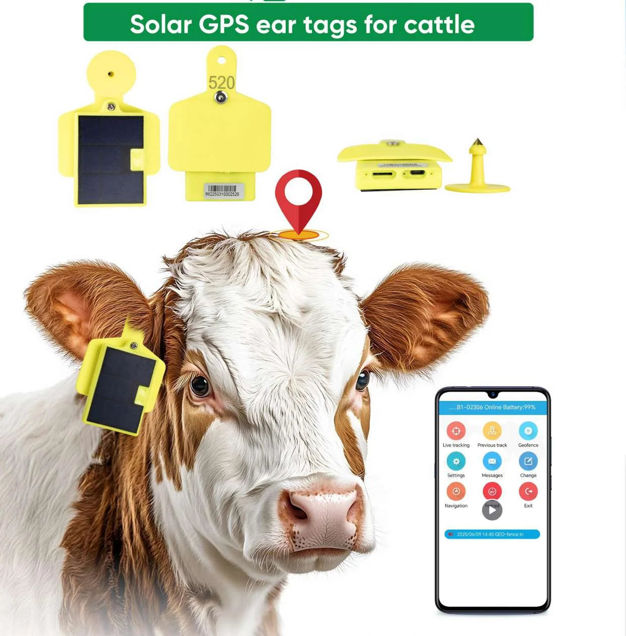 GPSONE Solar-Powered Cow Ear Tag GPS Tracker for Cattle & Livestock - Smart Grazing Management