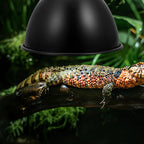 1pc Heating Lamp Lampshade Iron Reptile Heat Lamp Shade Reflector Dome For Lizard Snake Turtle Terrarium Lighting Accessory