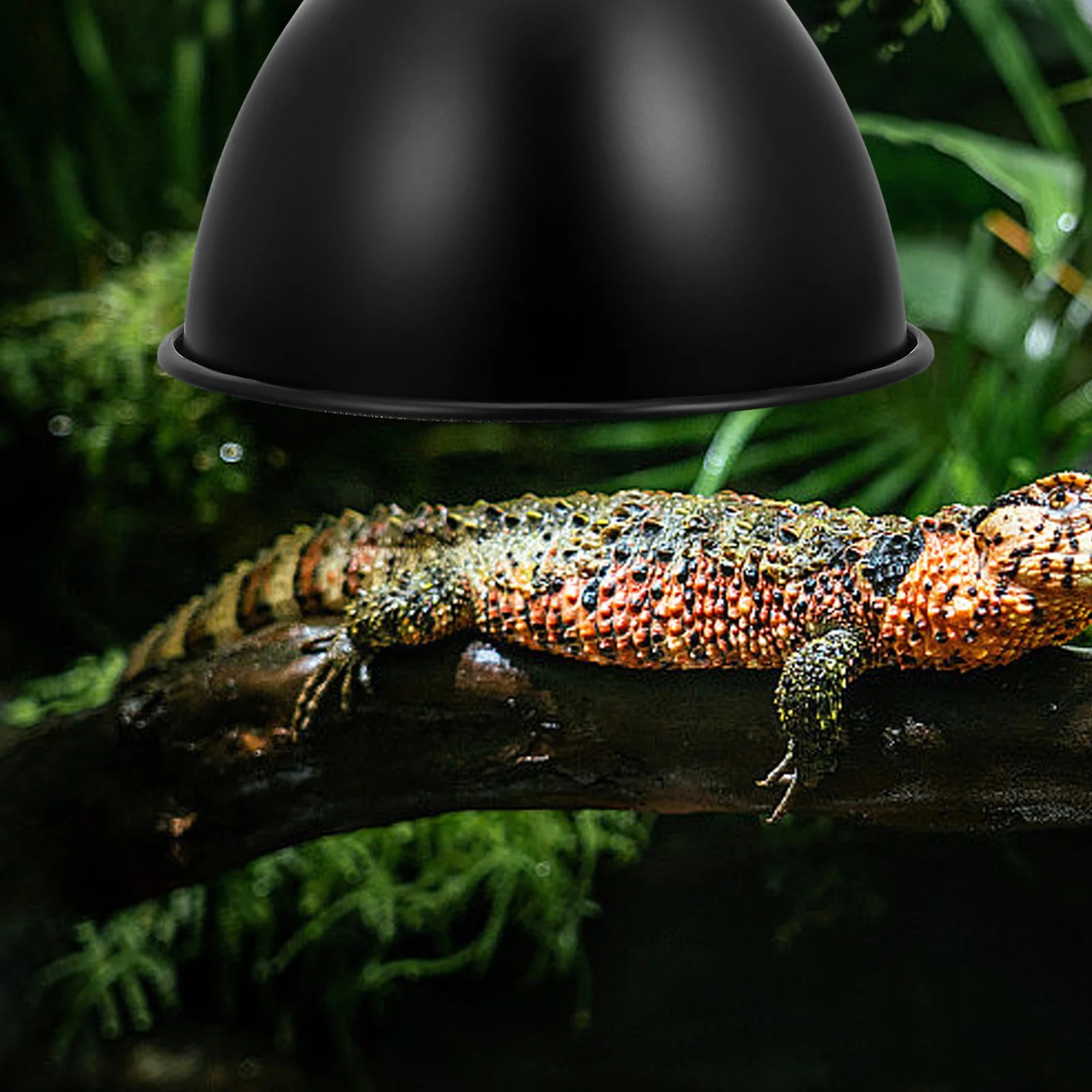1pc Heating Lamp Lampshade Iron Reptile Heat Lamp Shade Reflector Dome For Lizard Snake Turtle Terrarium Lighting Accessory