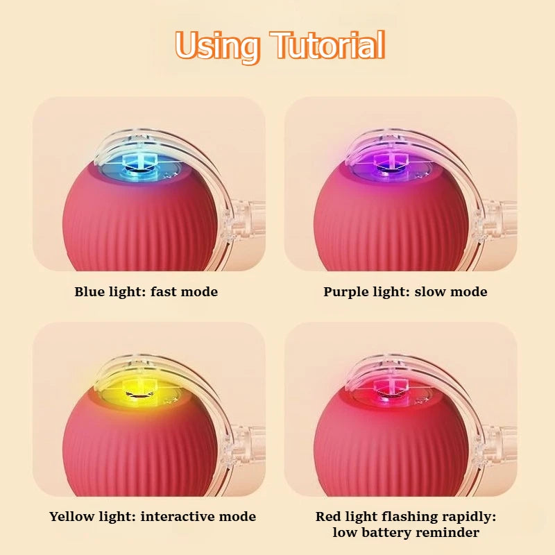 Electric Rolling Ball Cat & Dog Toy — USB Rechargeable Rat-Imitating Auto-Move Trainer